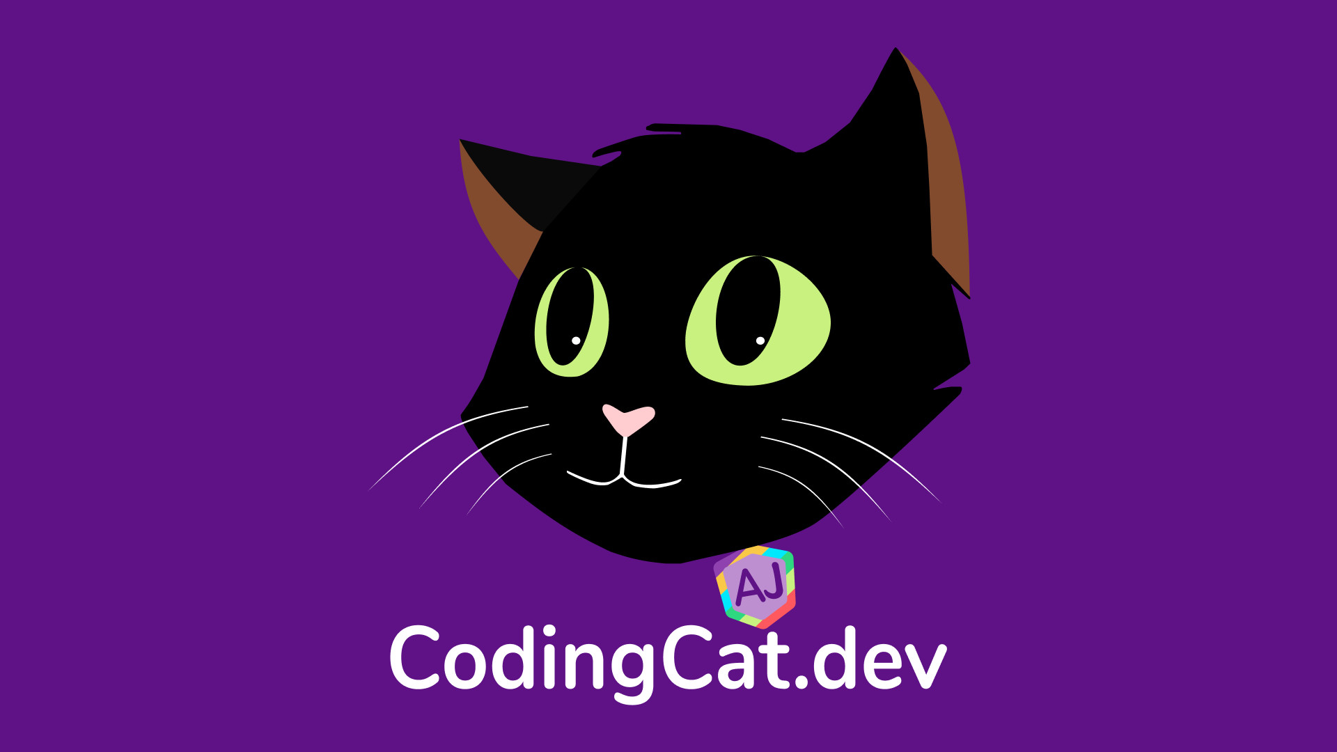 Coding Cat Logo