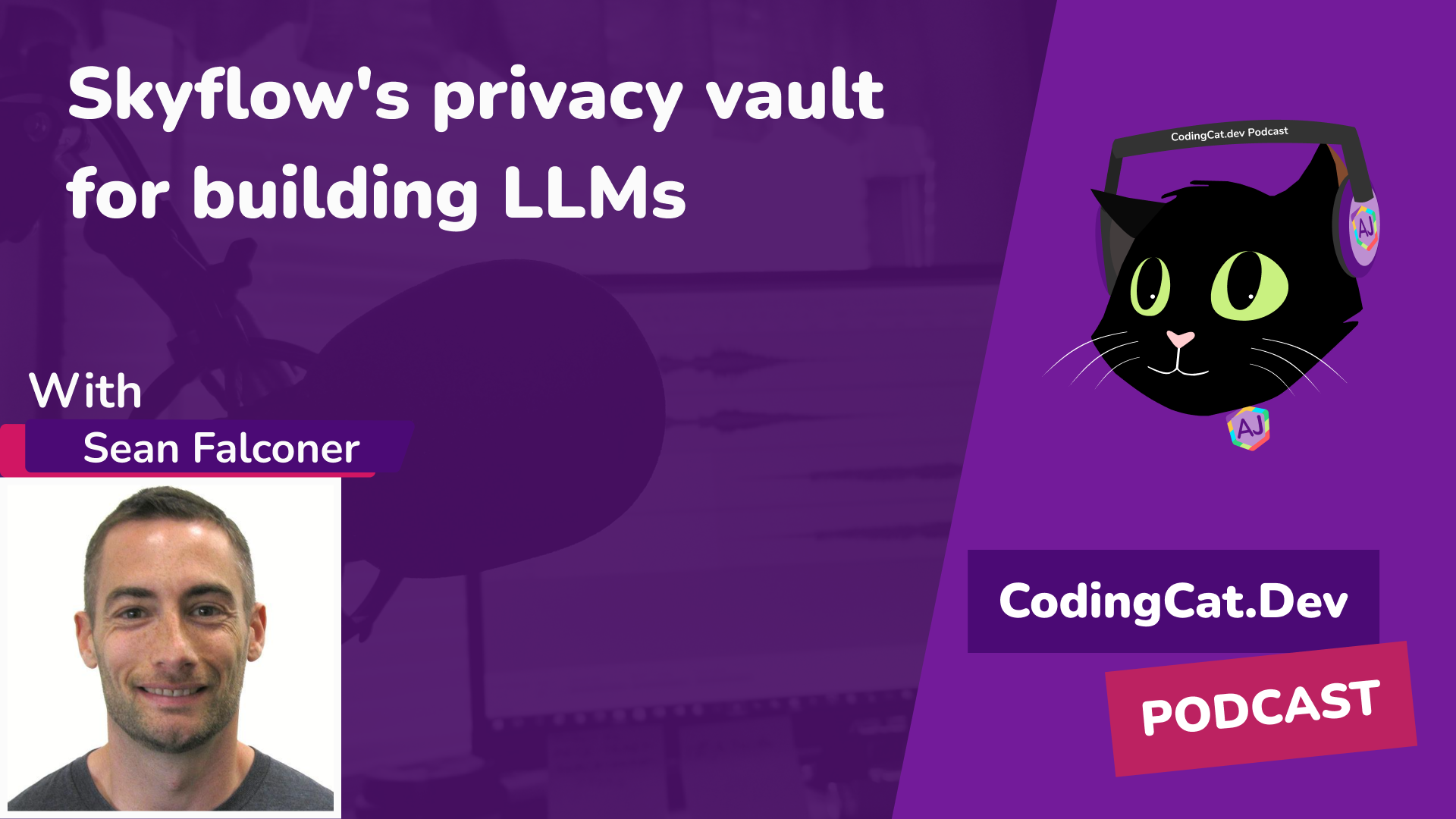 Skyflow's privacy vault for building LLMs